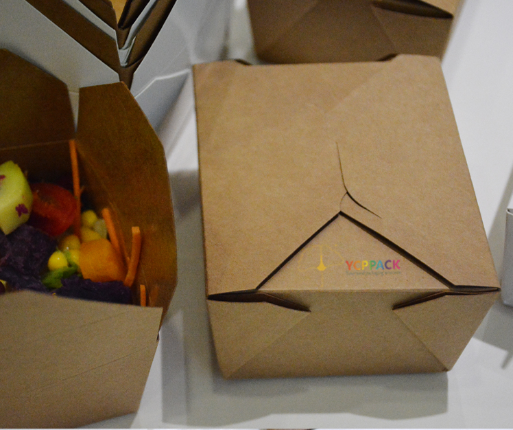 Lunch  Box 9  kraft 